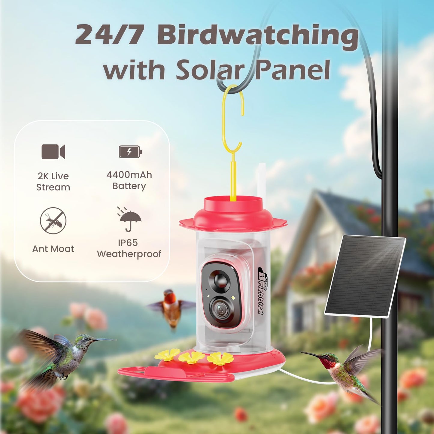 RichBird Smart Hummingbird Feeder with Camera Solar Powered, AI Identify, Instant Notification, Leakproof & Ant Moat, Outdoors Hanging, Idea Gift for Bird Lovers (20 oz)