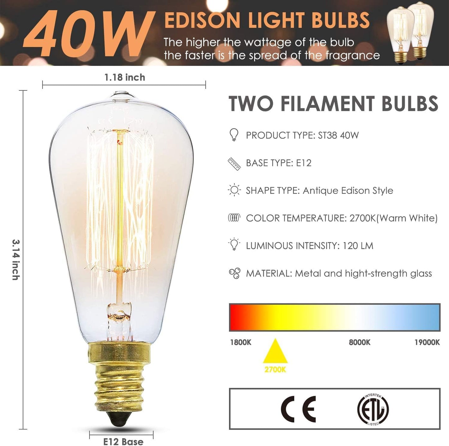 SALKING Electric Wax Warmer - Metal Wax Melt Warmer for Scented Wax,Candle Wax Burner Fragrance Warmer and 2 Edison Bulbs, Wax Melt Melter for Home Decor Office,Birthday Gifts for Women