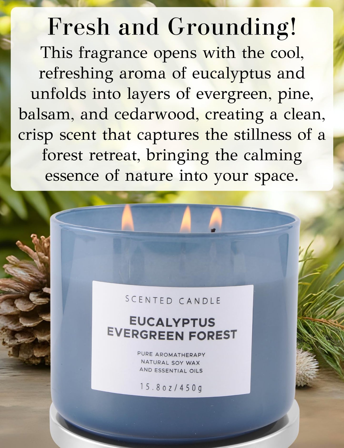 Eucalyptus Evergreen Forest 3 Wick Scented Candle | Luxury Soy Candles for Home | Relaxing Aromatherapy Stress Relief Candle 15.8 oz | Clean Burn Long Lasting Balsam Fir Woods Candles for Men & Women