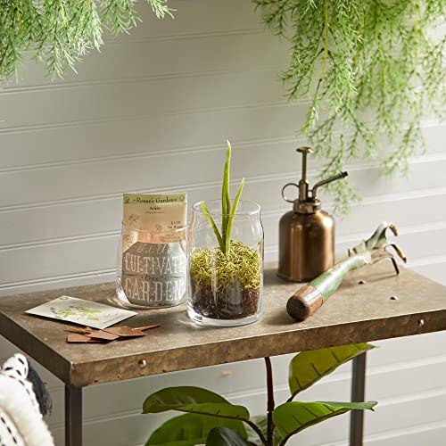 Yankee Candle Christmas Cookie Scented Signature 20oz Large Jar 2-Wick Candle Over 60 Hours of Burn Time Holiday Festive Ideal for Holiday Gifting Home Decor Vanilla Butter Scent