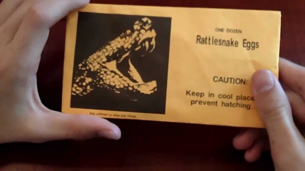 Fun Time Products Dave Stott’s 'Ultimate Prank Kit’, Funny Gag Gifts for Men, Women, and Kids