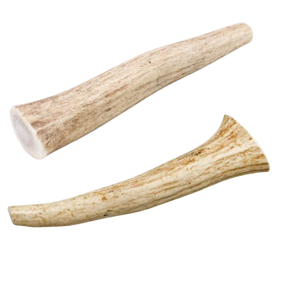 hotspot pets Premium Deer Antlers for Dogs - 7+ Inch Large Antler Dog Chews (2 Pack) Made in USA - Naturally Shed Antler Bone for Large Breed Aggressive Chewers - Promotes Dental Hygiene
