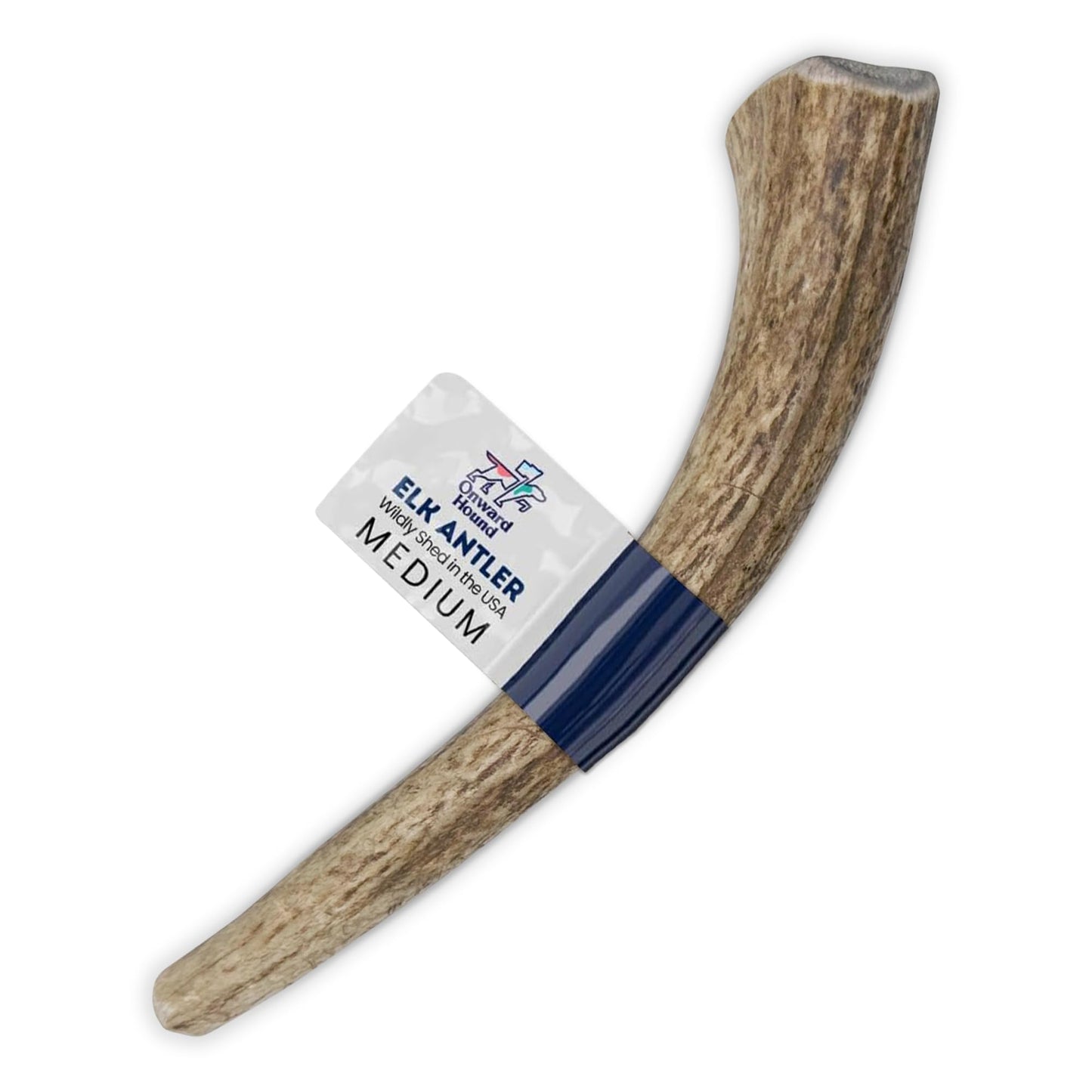 Onward Hound Elk Antlers for Dogs, 6"+ Medium 1-Pack, Grade A Long Lasting Chew for Aggressive Chewers, Premium USA Naturally Shed Antler - Healthy, No Odor, Durable Dog Chew for 15-35lb Breeds