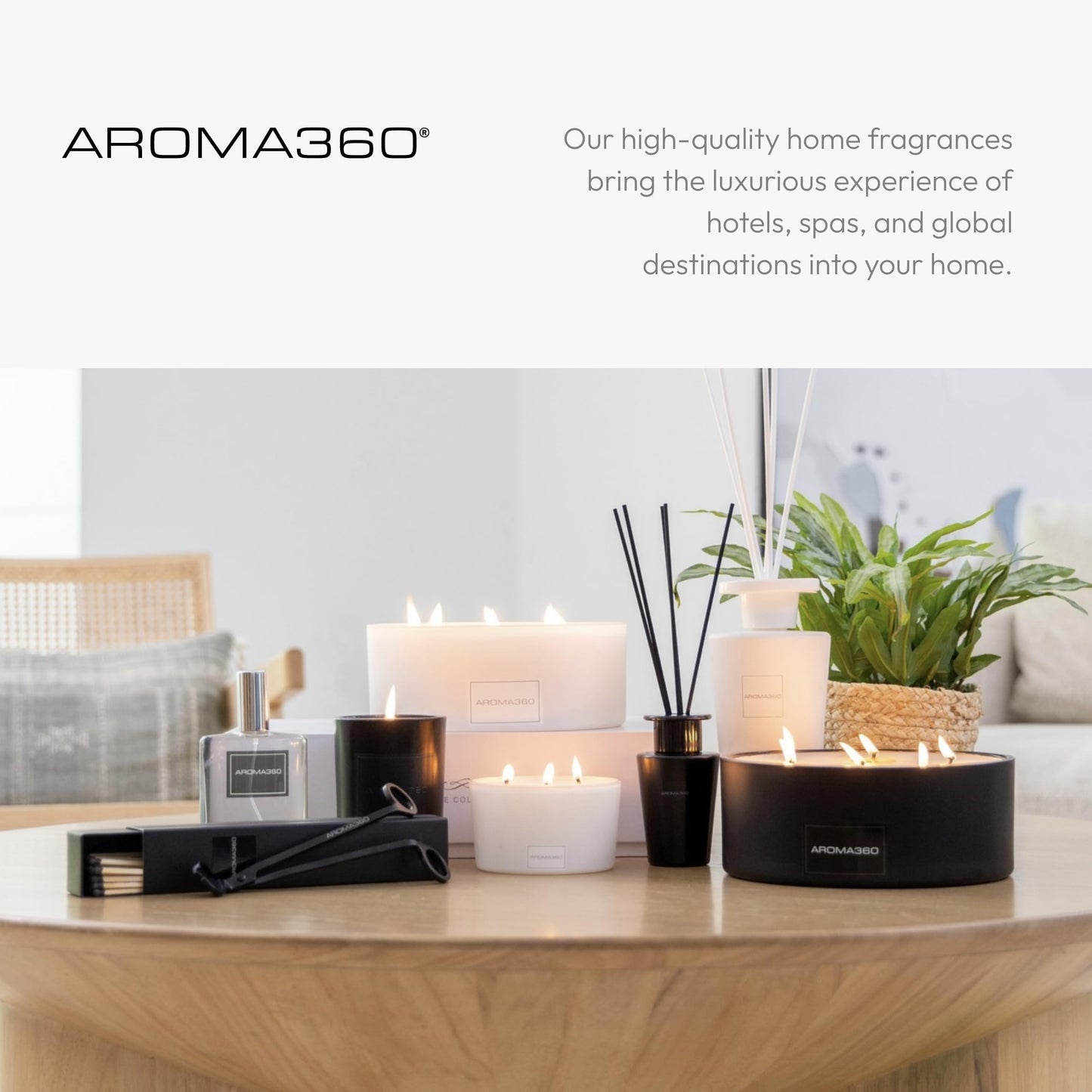 Aroma360 - My Way 11oz Candle - Luxury Scented Candles with Essential Oils - Lush Sandalwood, Warm Virginia Cedar & Iris - Aromatherapy - Soy Candles - 80hr Burn