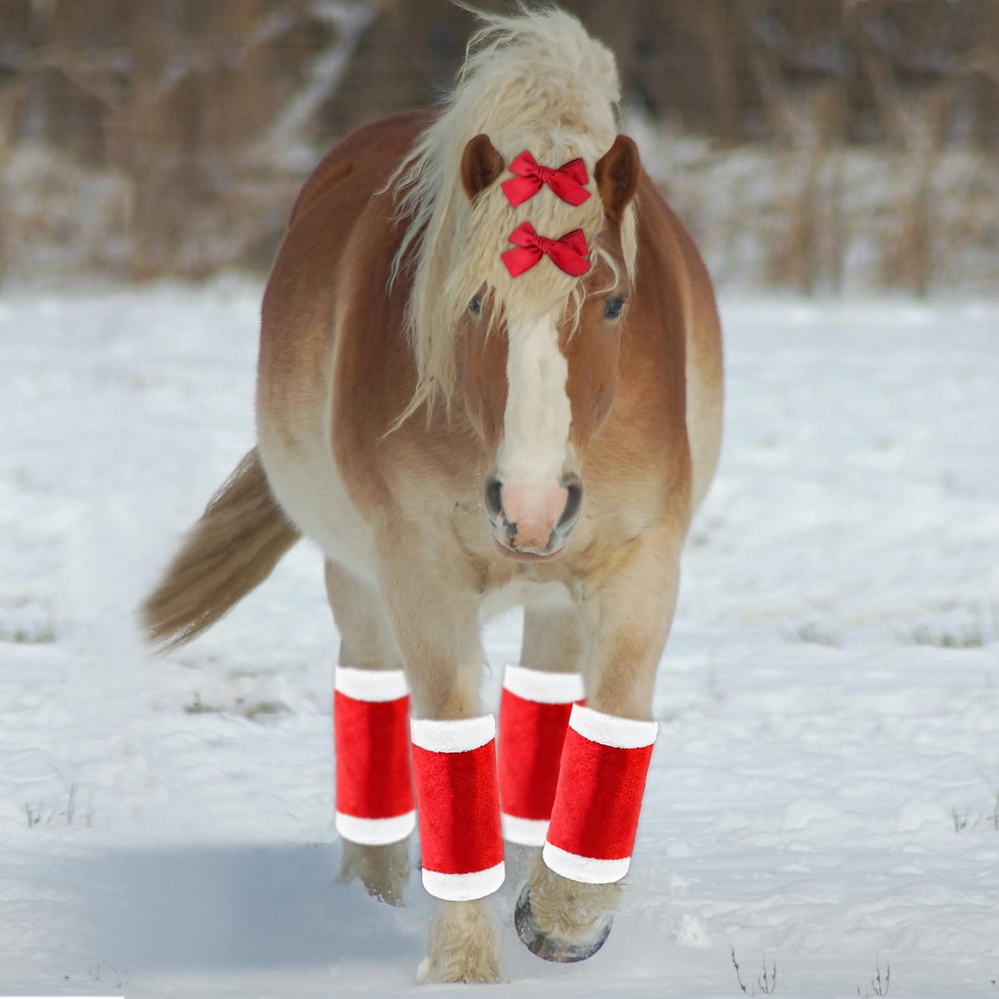 Andy's 10 PCS Xmas Horse Costume Set - Red Santa Hat, Leg Wraps, Halter, Bow Ties For Horse Tails
