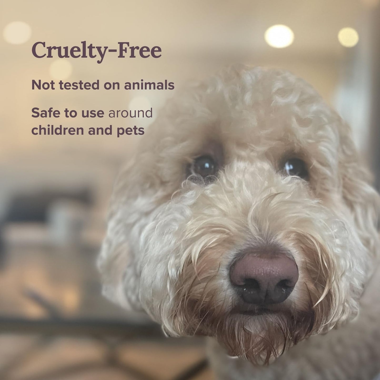 MAGNIFICENT 101 Sage & Lavender Aromatherapy Smudge Candle - 6 Oz - 35-Hour Burn Soy Wax - Energy Cleansing & Manifestation - Spiritual Decor & Meditation Accessories - Spiritual Gift for Women