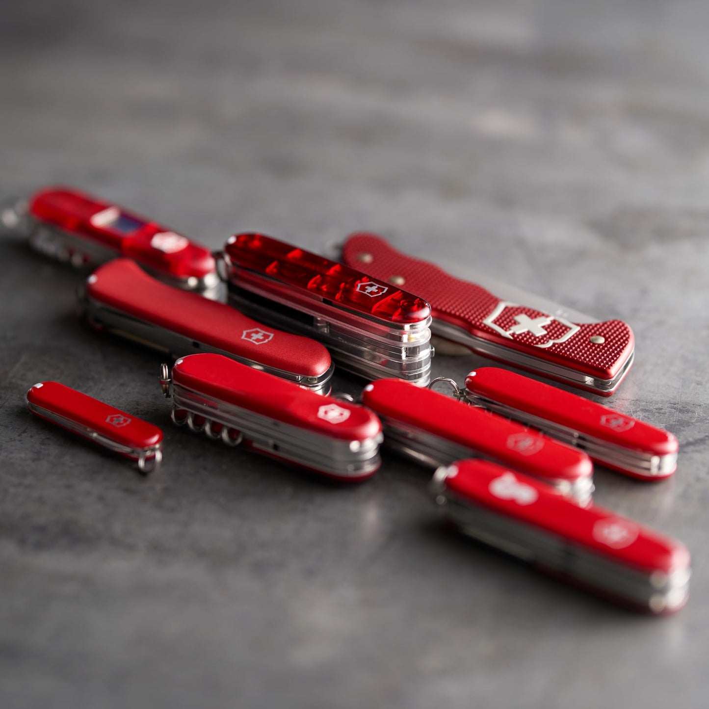 Victorinox Rally Swiss Army Knife, Compact, 9 Functions, Swiss Made Pocket Knife with Magnetic Phillips Screwdriver, Bottle Opener and Key Ring - Red