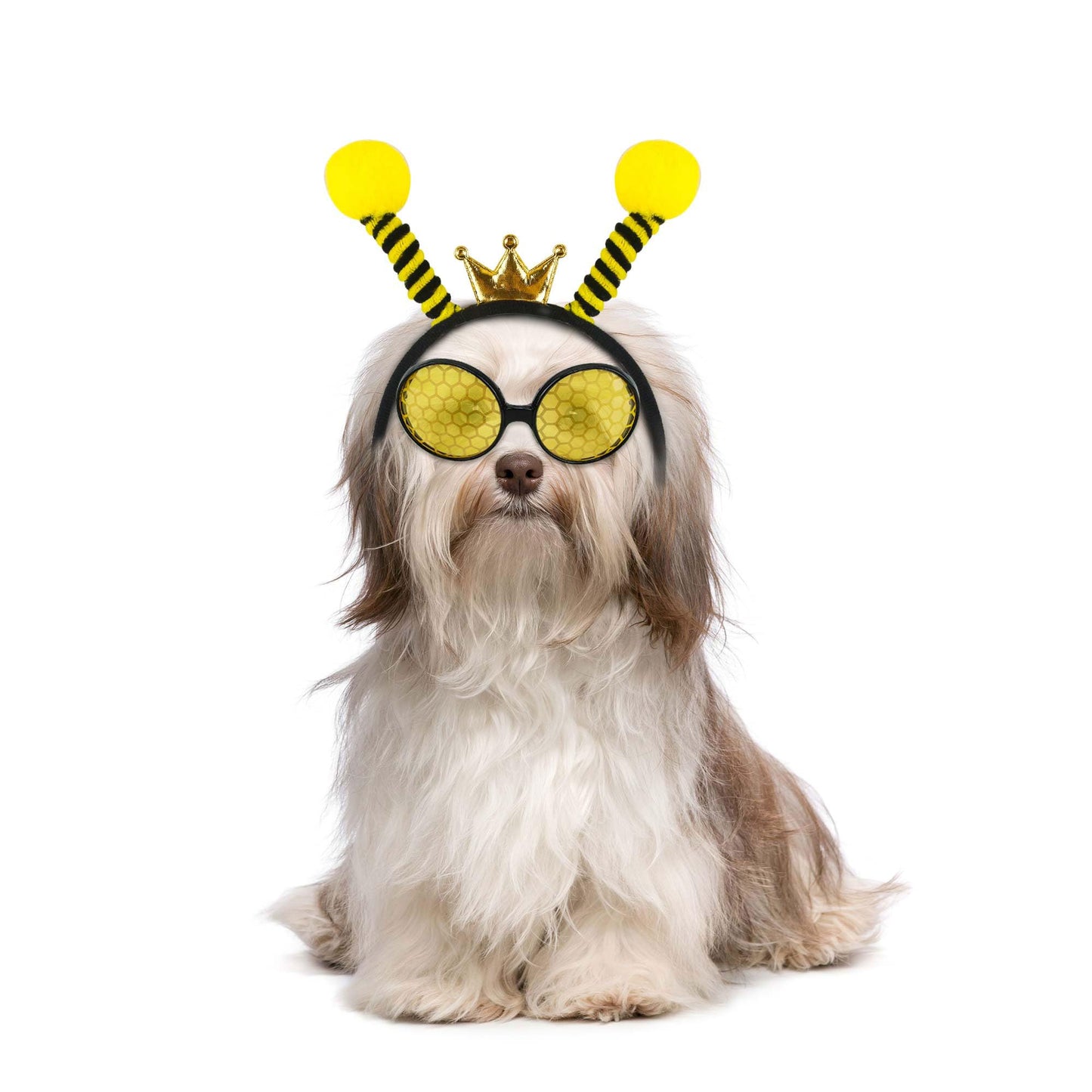 Flahard 12 Pcs Bee Headband Glasses Set Bee Headband with Sunglasses for Adults Kids New Year Cosplay Costume Accessories