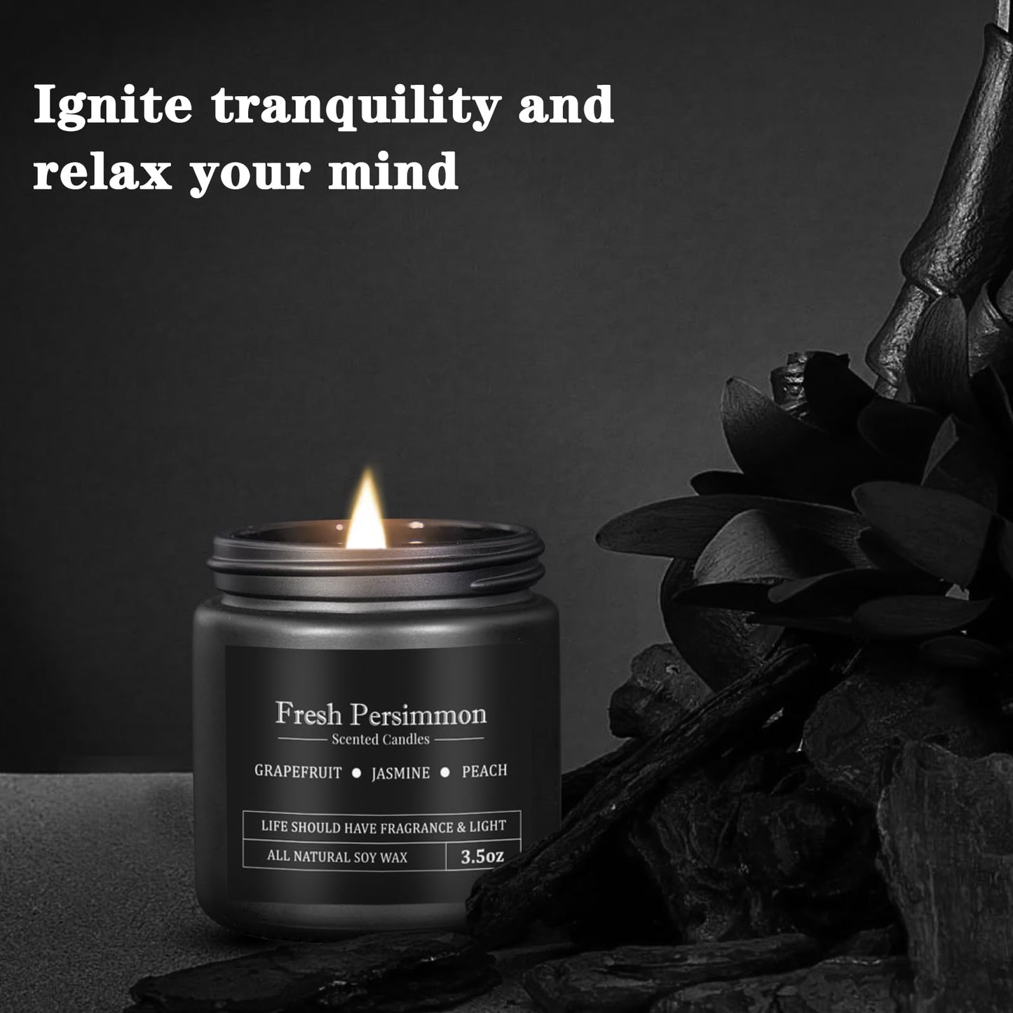 10 Pack Scented Candles Set Gifts for Men, Aromatherapy Candle Set Gift for Dad, Boyfriend, Birthday, Anniversary, Father's Day