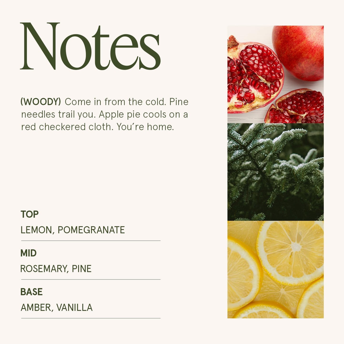 LA JOLIE MUSE Pine Scented Candle, Holiday Candle Gifts, Pomegranate Candle, Winter Scented Candle for Home Scented, Natural Soy Wax Candle, 40 Hours Long Burning