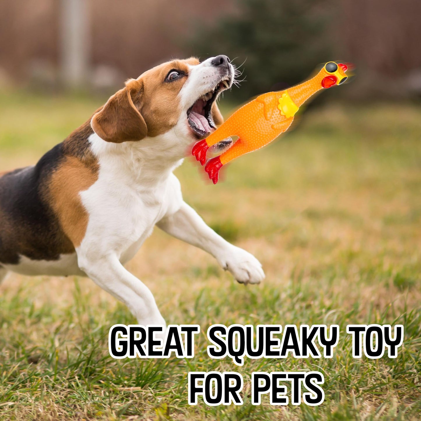 3pc Silly Screaming Chicken Set - Tactile Squeaky Chicken Squeeze Toy for Fun and Entertainment - Rubber Chickens That Squeak Screaming Chicken Toy Value Pack