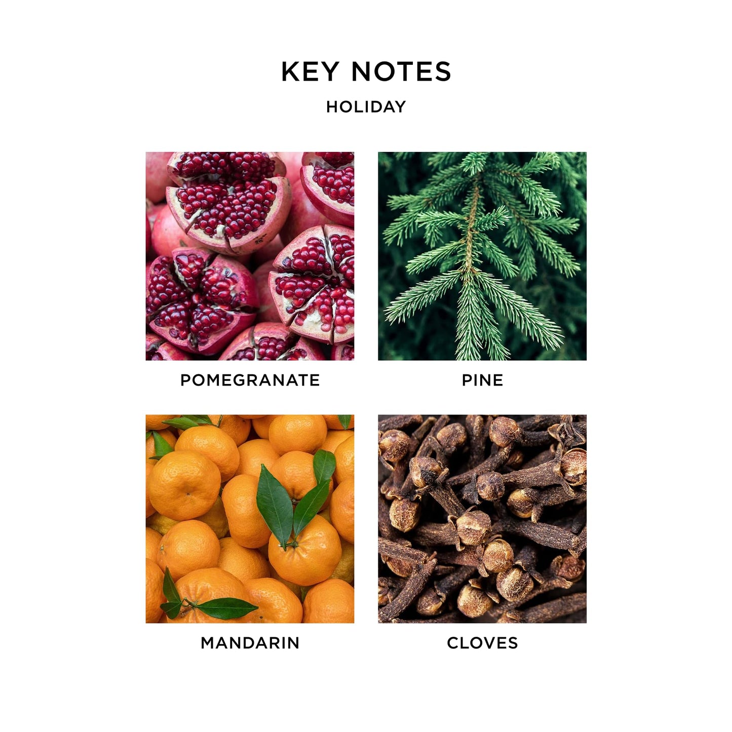 NEST New York Festive Scented Votive Candle Trio - 2 oz Each - Includes Holiday, Birchwood Pine, Crystallized Ginger & Vanilla Bean - Up to 28-Hour Burn Time - Reusable Glass Vessel