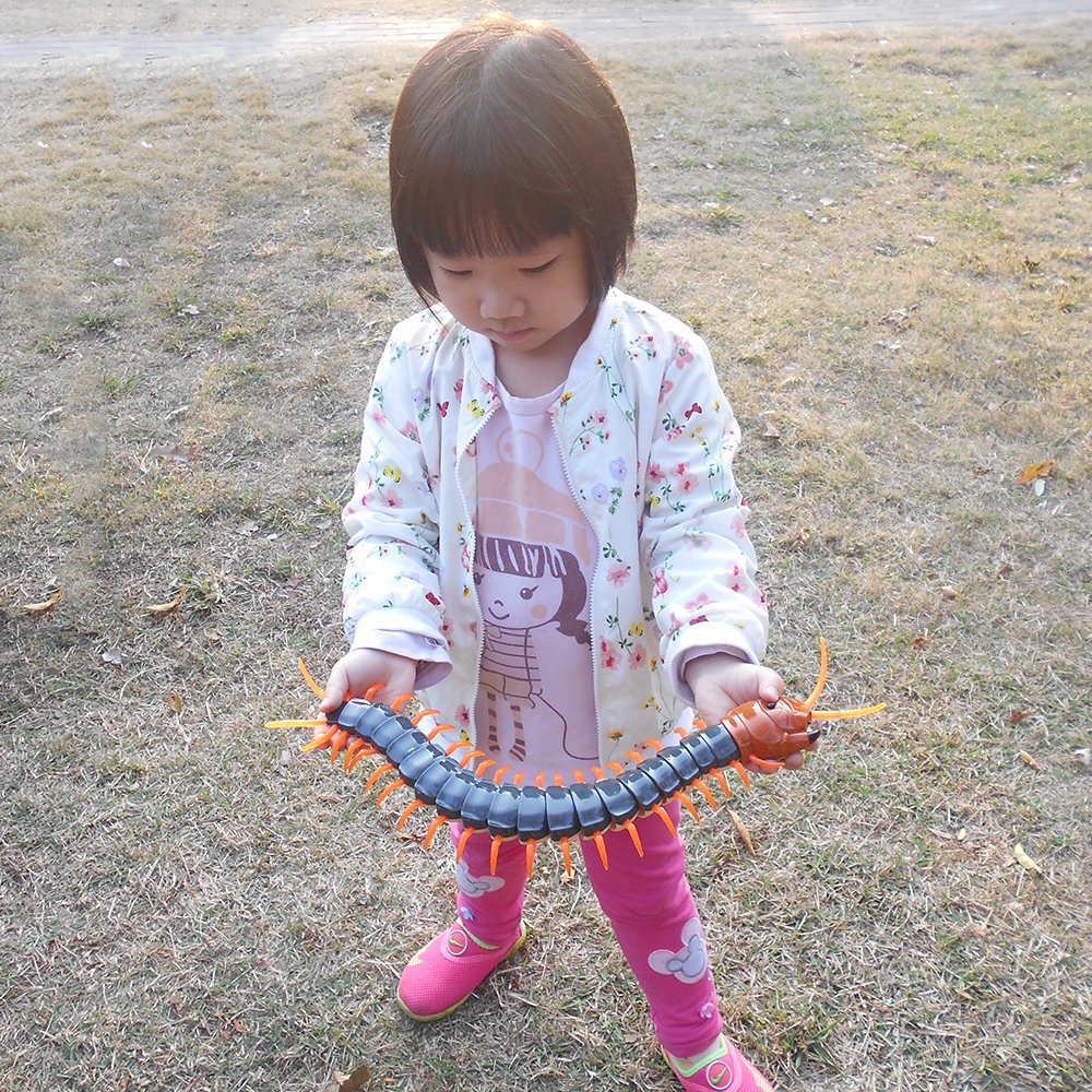 Tipmant Simulation RC Centipede Scolopendra Realistic Remote Control Vehicle Car Animal Insect Large Size Electric Prank Toy Kids Christmas Birthday Gifts (Navy Green)