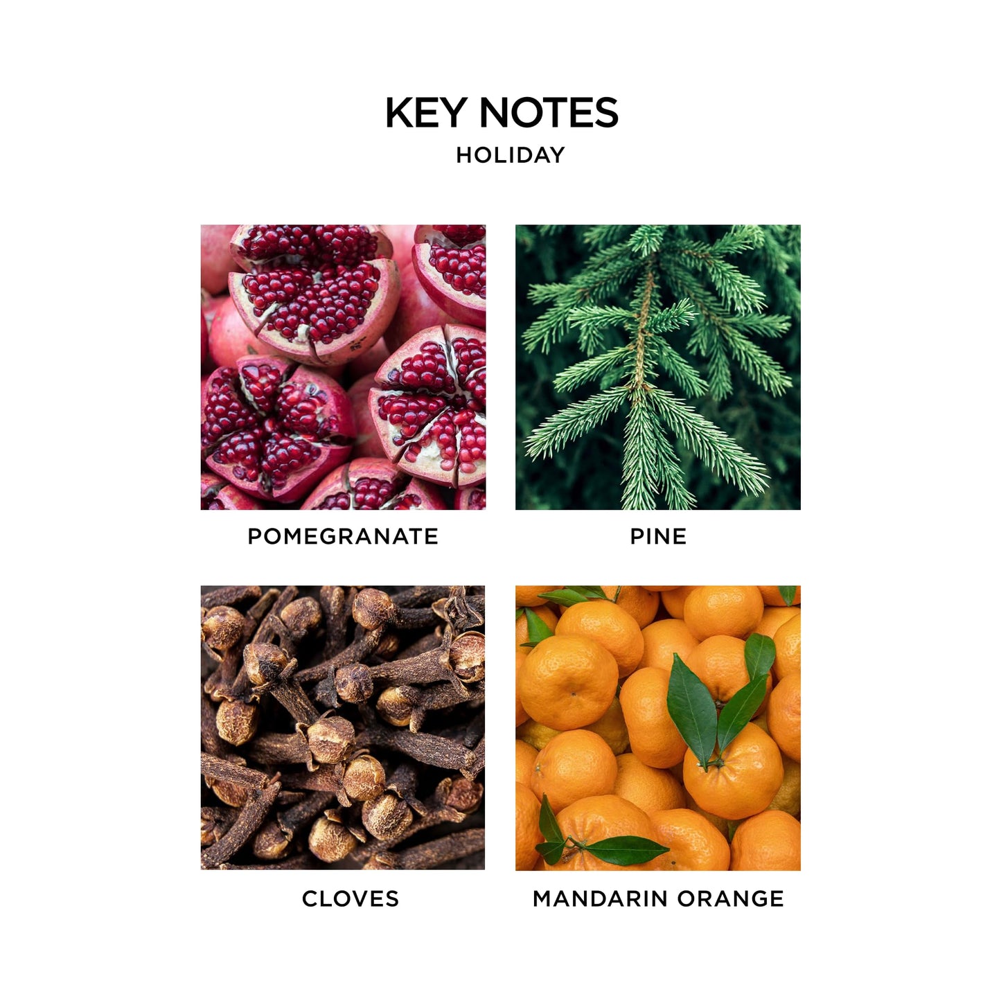 NEST New York Scented Classic Candle, Holiday - 8.1 oz - Up to 60-Hour Burn Time - Reusable Glass Vessel