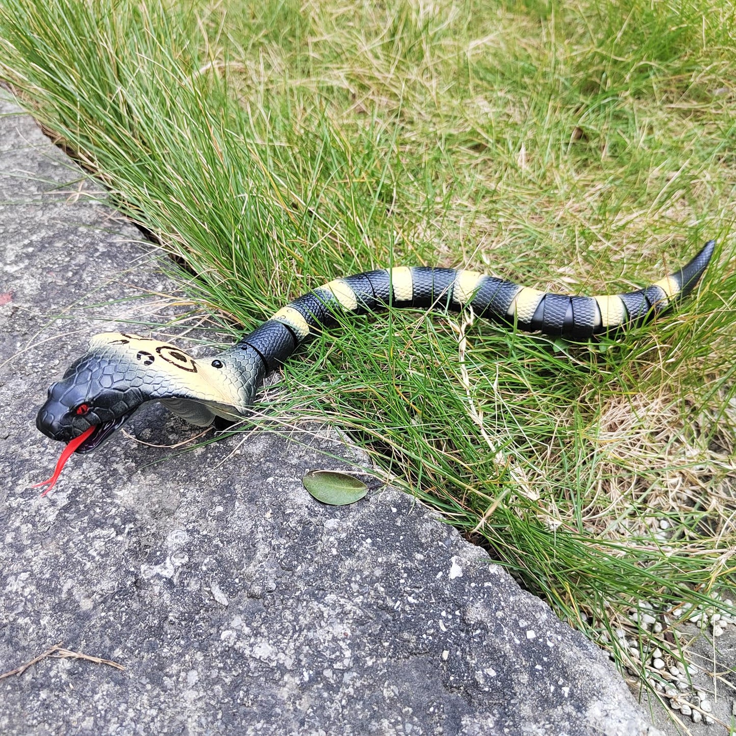 Tipmant Realistic Remote Control Snake RC Cobra Animal Toy Crawling Electric Electronic Battery Powered Honored for Kids Cat Halloween Christmas Prank Toys Birthday Gifts (Grey)